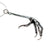Bird Foot