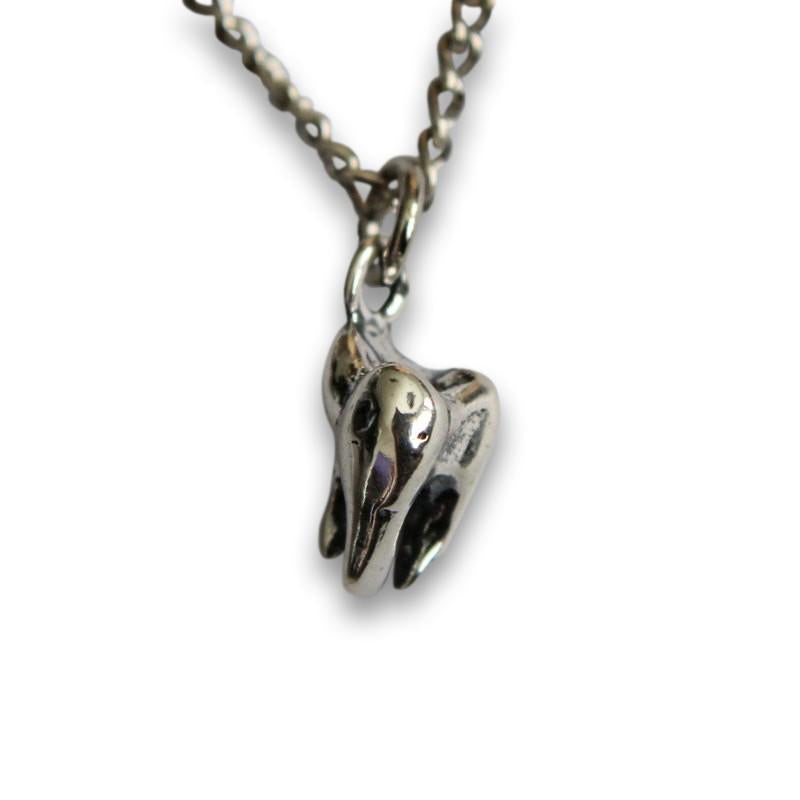 Three Root Human Molar Tooth Necklace
