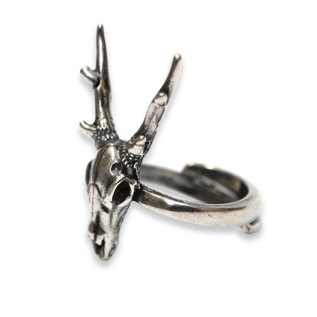 Stag Deer Skull