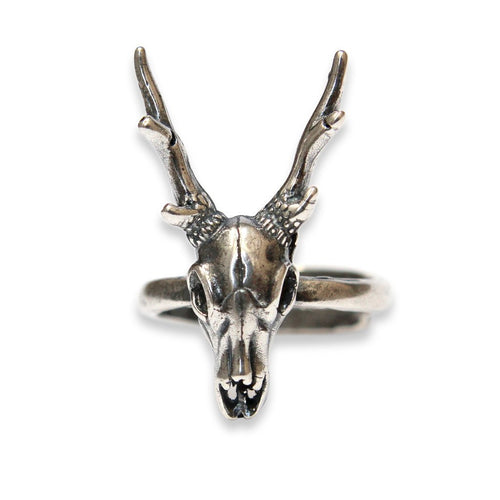 Stag Deer Skull