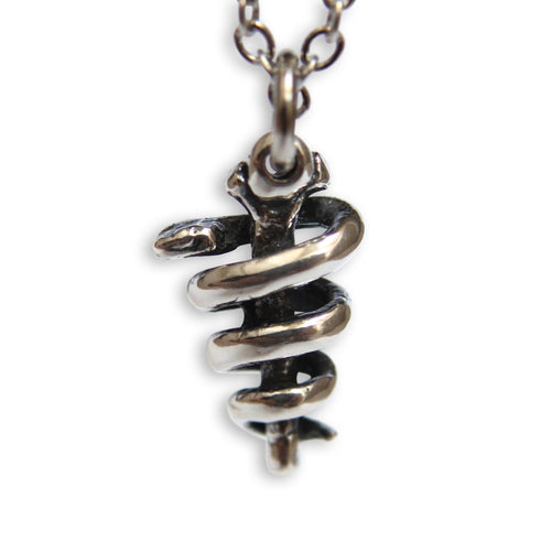 3D Sterling Silver Rod of Asclepius