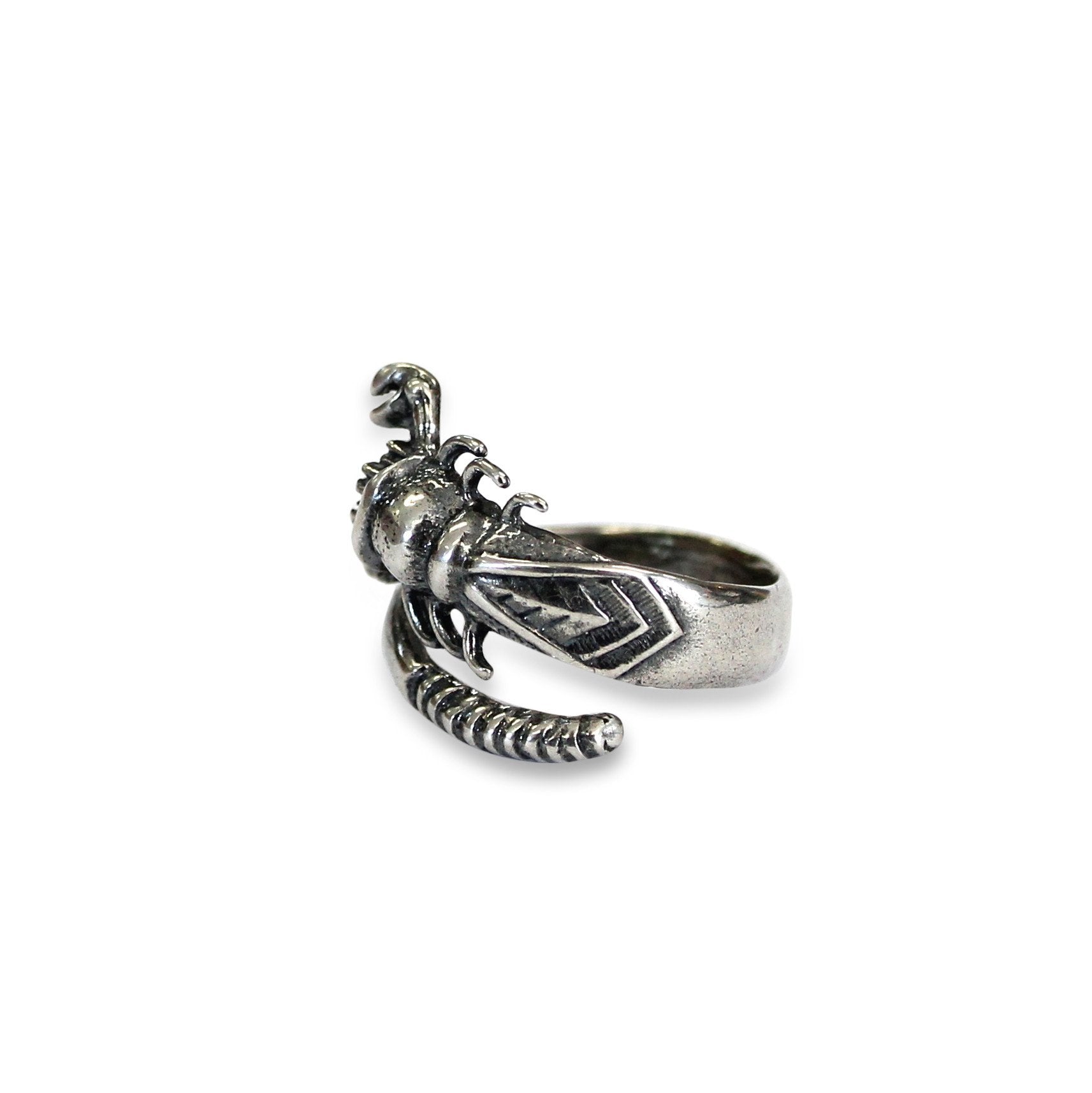 Scorpion
