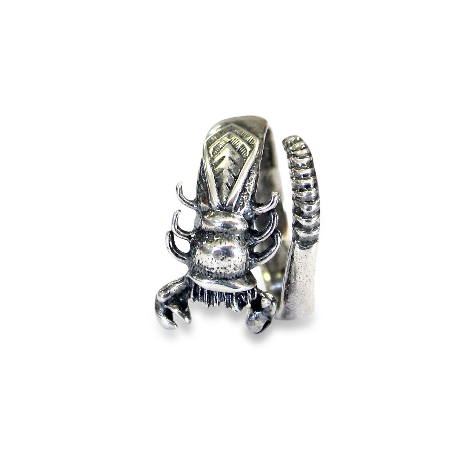 Scorpion