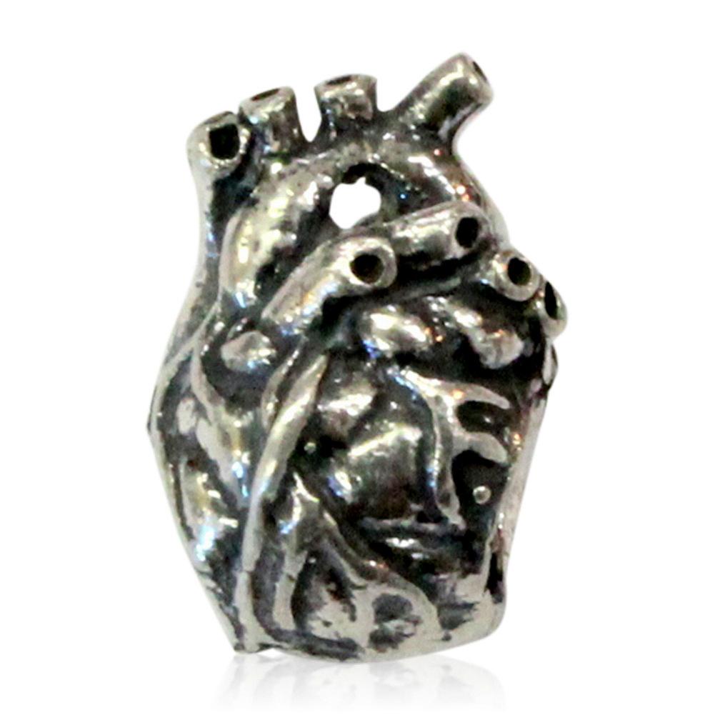 Anatomical Heart - 925 Sterling Silver European Style Charm Bead - Fits most Major Brands