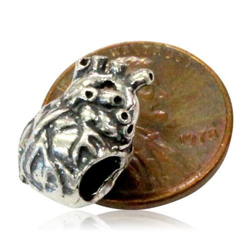 Anatomical Heart - 925 Sterling Silver European Style Charm Bead - Fits most Major Brands
