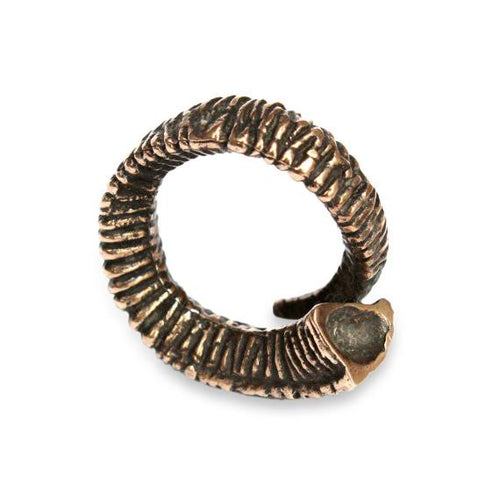 Big Horn Rams Horn Wrap