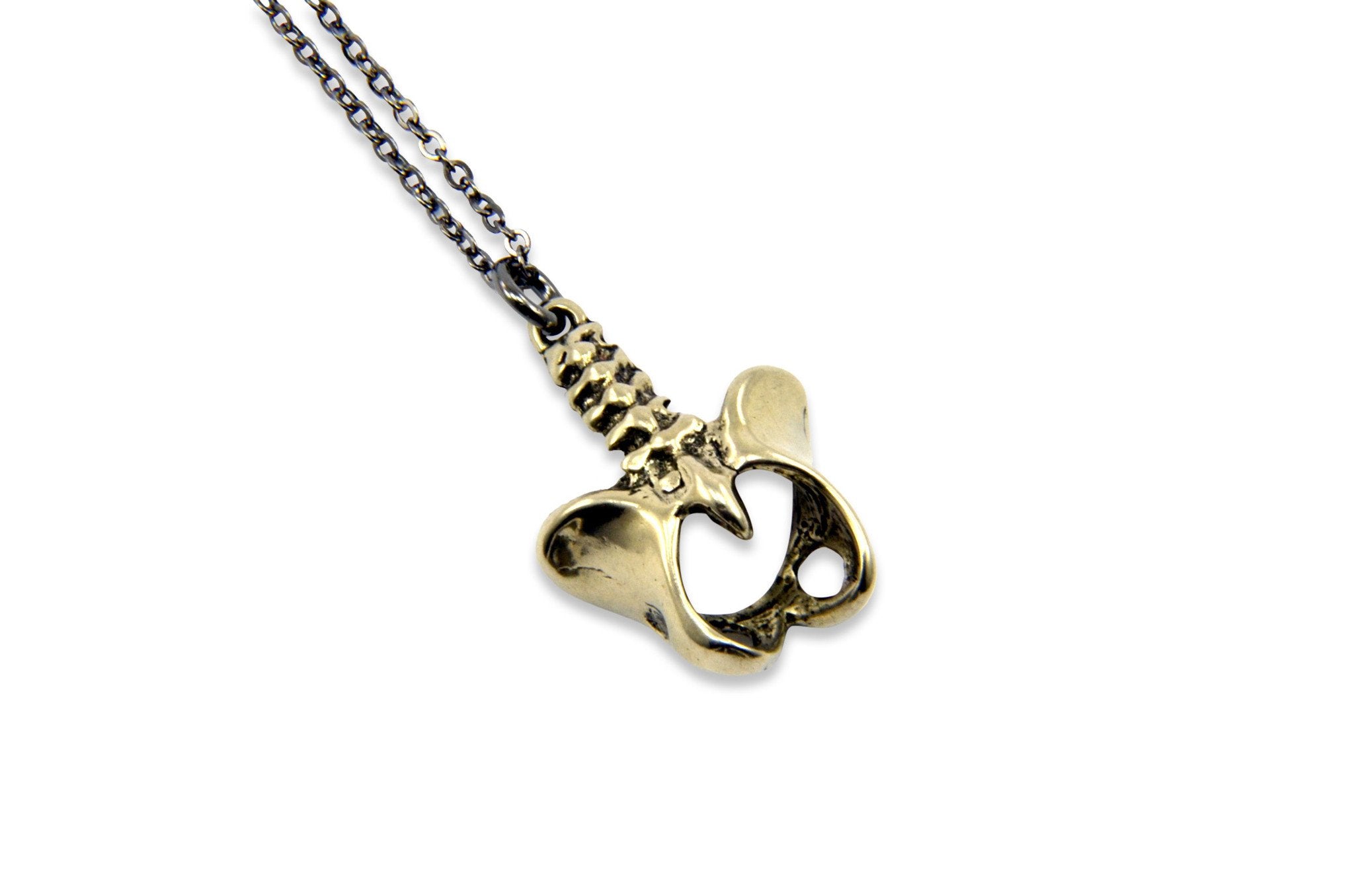 Human Pelvis Necklace