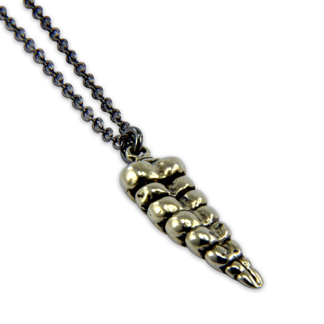 Rattlesnake Tail Necklace
