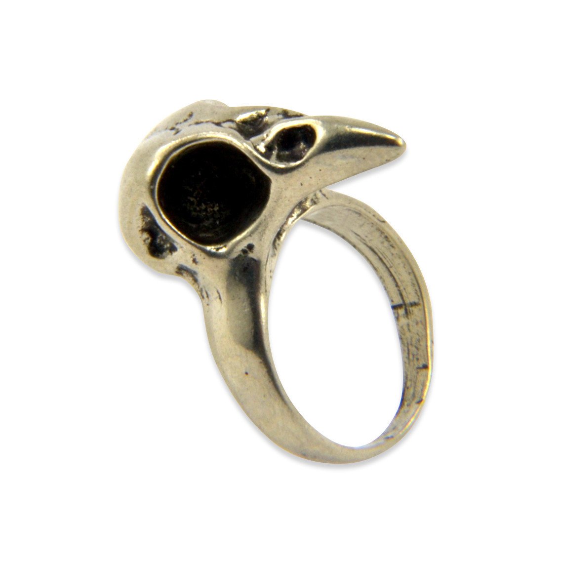 Baby Bird Skull
