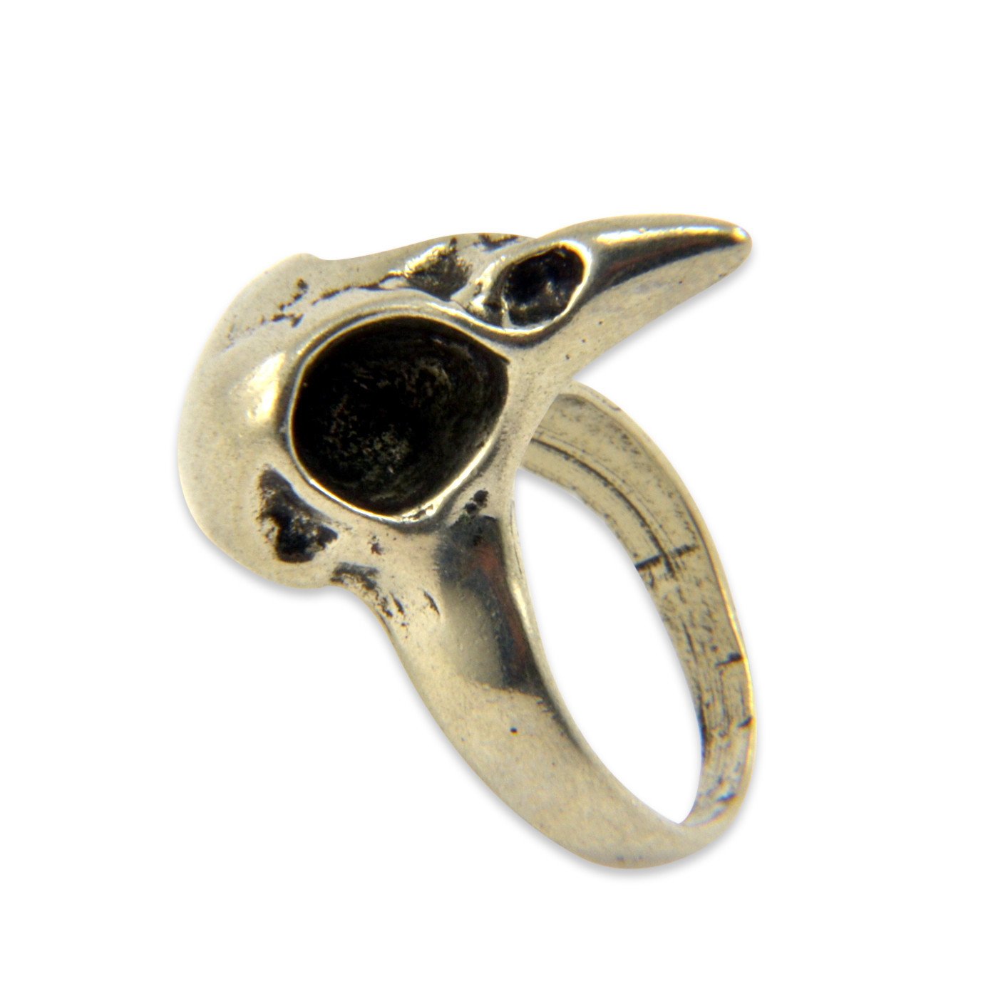 Baby Bird Skull