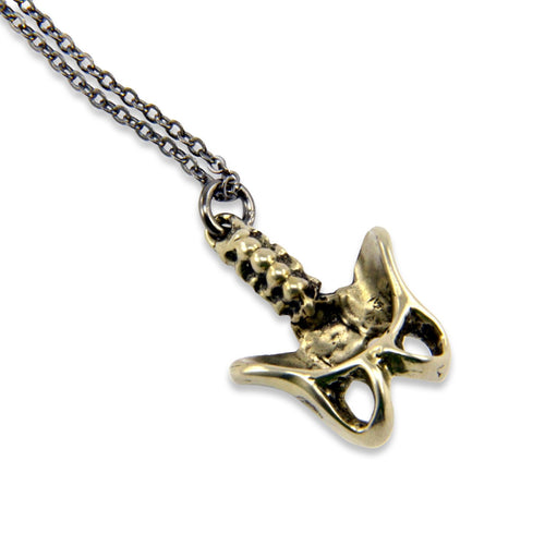 Human Pelvis Necklace