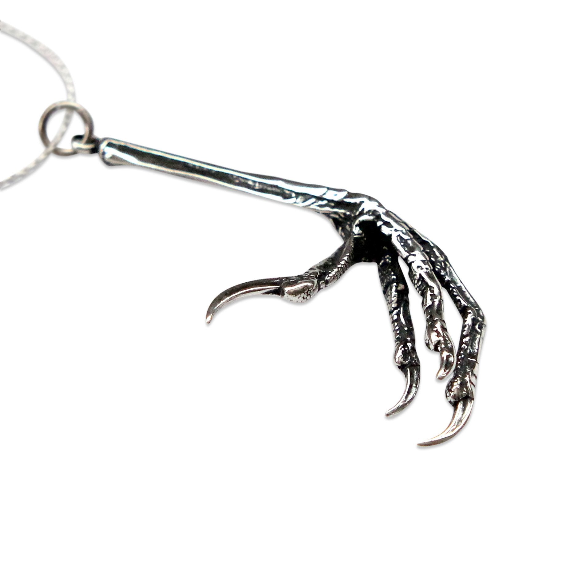 Bird Foot