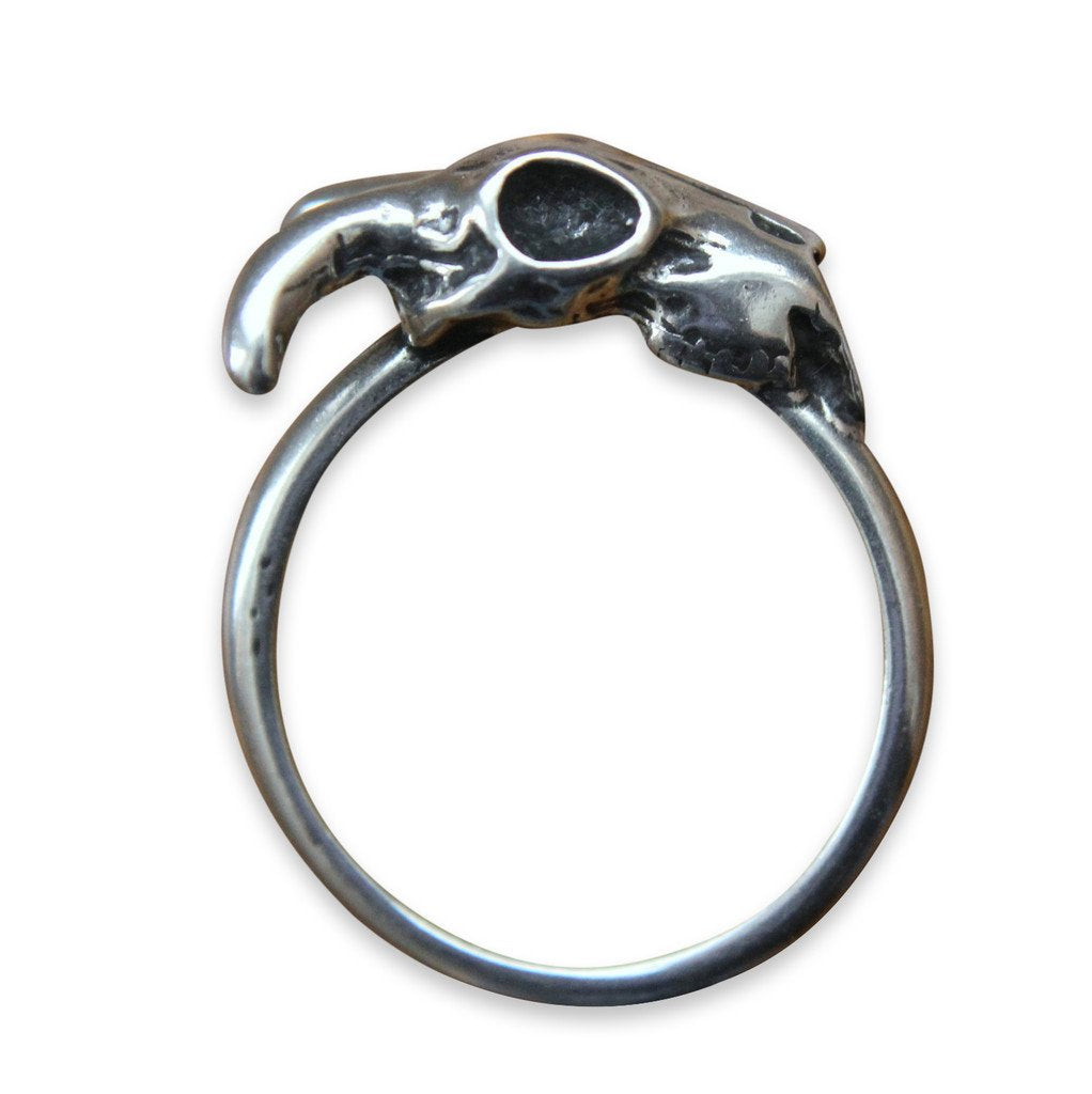 Little Ram Skull