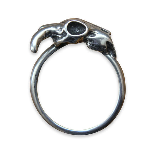 Little Ram Skull