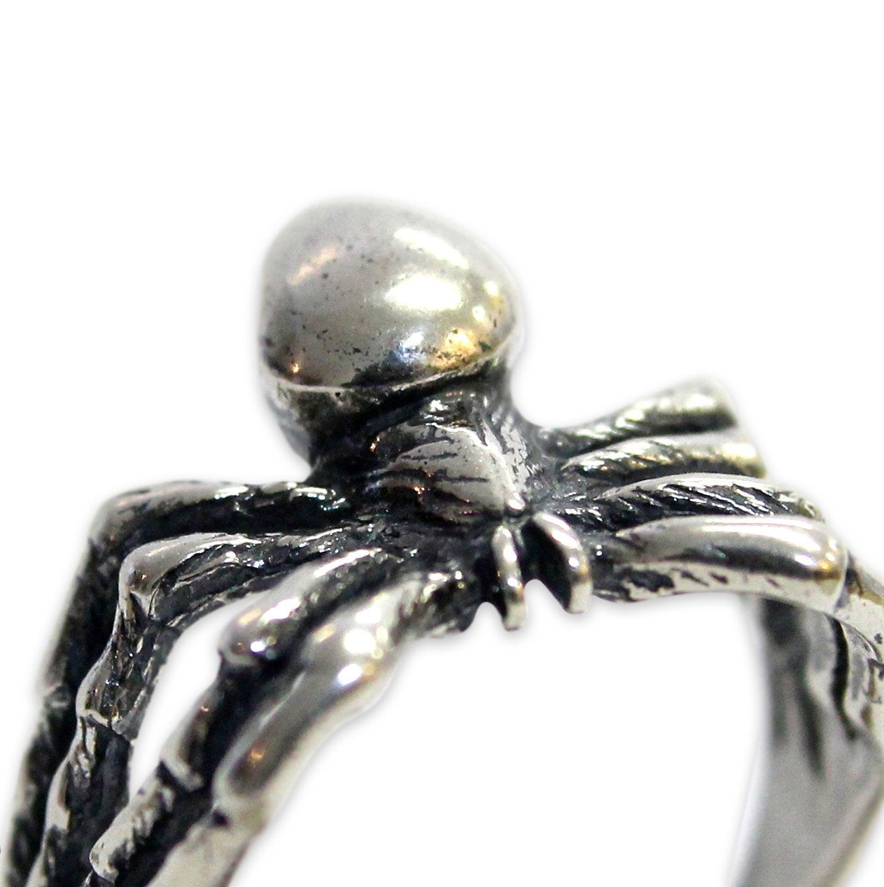 Spider