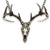 Trophy Deer Skull Pendant Necklace