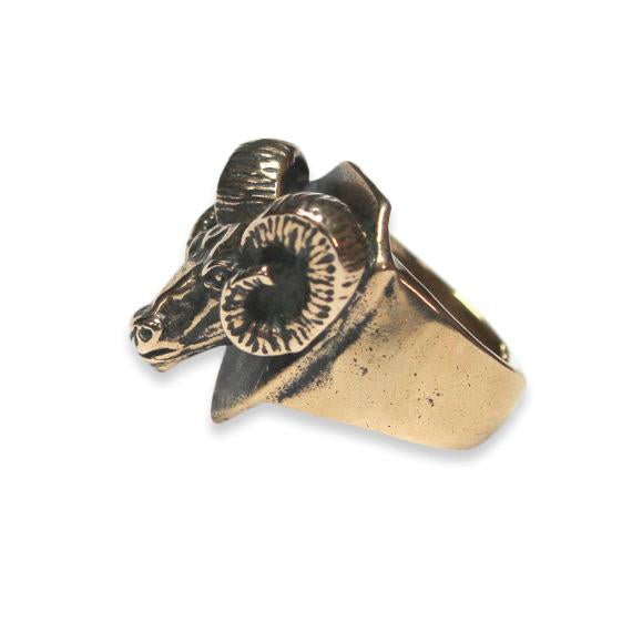 Trophy Ram Head