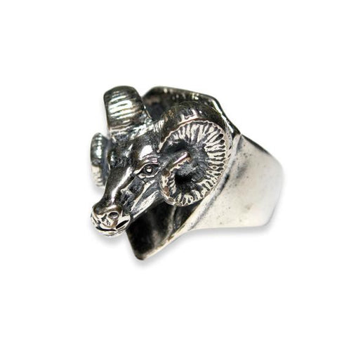 Trophy Ram Head