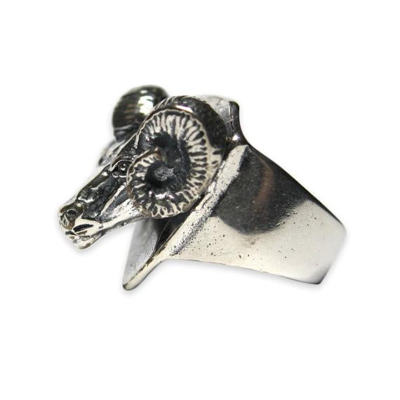 Trophy Ram Head