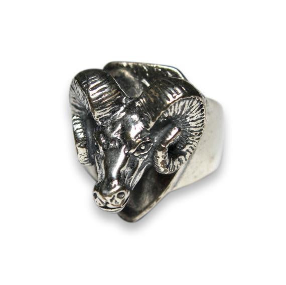 Trophy Ram Head