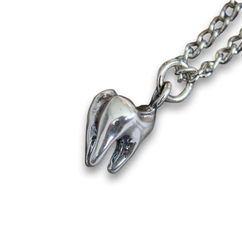 Three Root Human Molar Tooth Necklace