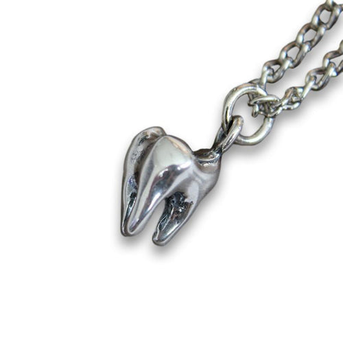 Three Root Human Molar Tooth Necklace