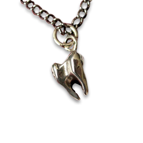 Three Root Human Molar Tooth Necklace