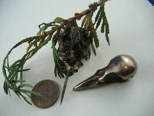 Hummingbird Skull Necklace