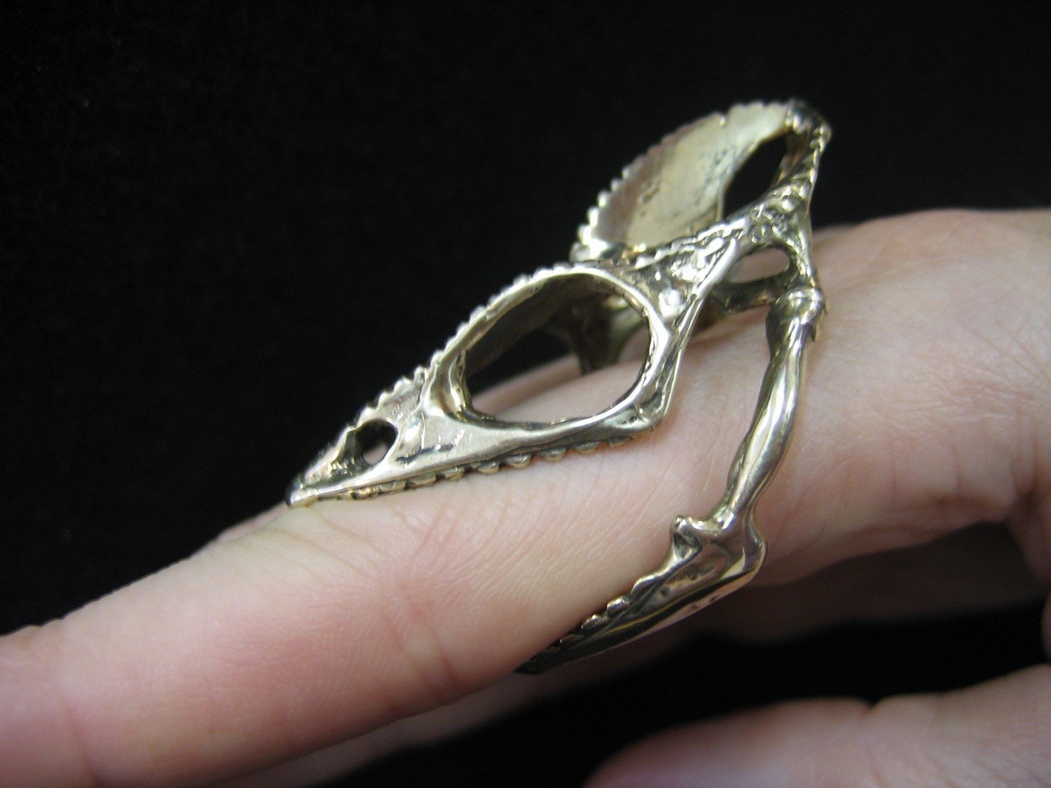 Chameleon Lizard Skull Adjustable