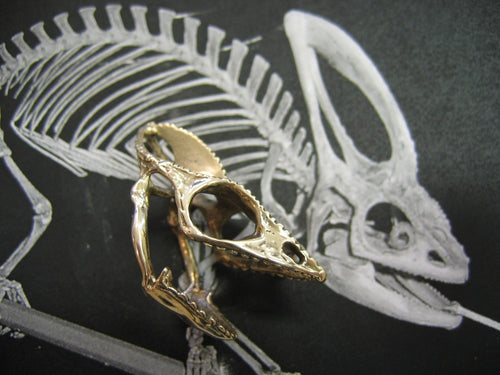 Chameleon Lizard Skull Adjustable