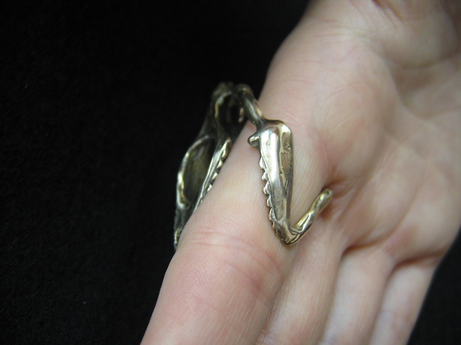 Chameleon Lizard Skull Adjustable