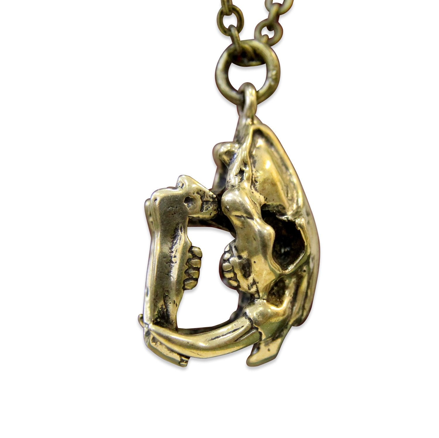 Saber Tooth Cat Skull Necklace