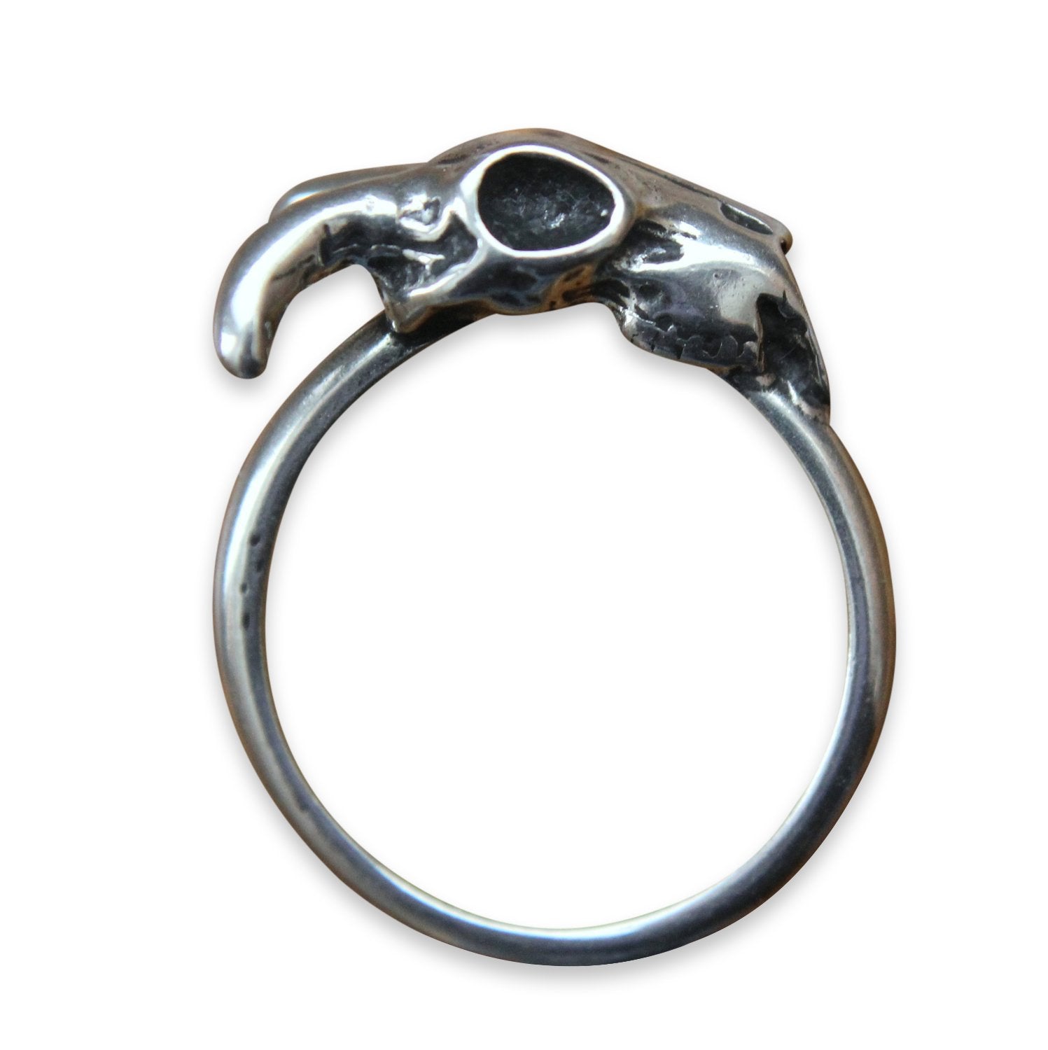 Little Ram Skull