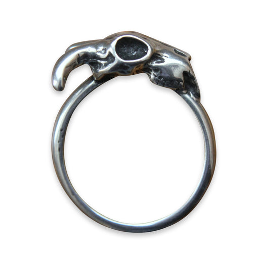 Little Ram Skull
