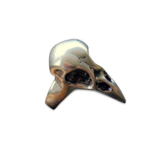 Baby Bird Skull
